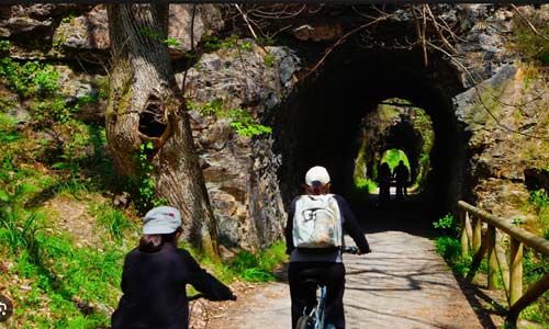 Rutasen Bicicleta